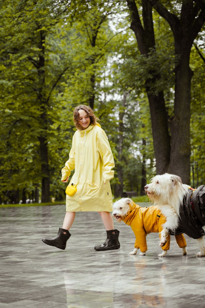 A cheerful walk with dogs in raincoats in a lush green park during daytime.